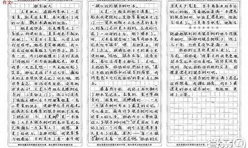 秋收作文800字记叙文_秋收作文800字记叙文初中