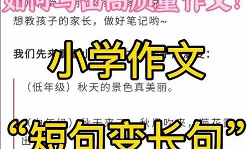 如何看待小学语文作文_如何看待小学语文作文这门课