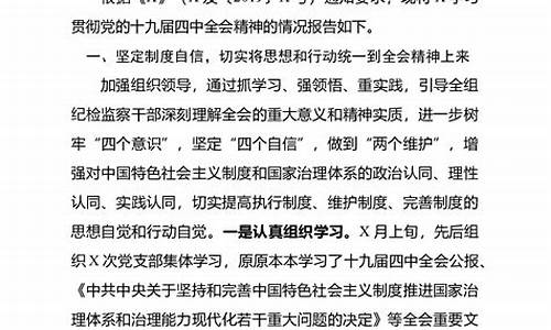 贯彻落实会议精神工作报告_贯彻落实会议精神汇报