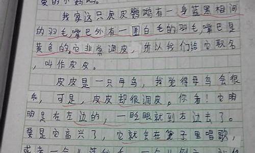 写动物的作文600字五年级