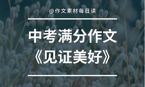 见证作文800字初三加点评怎么写_见证作文800字初三加点评怎么写的