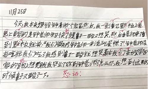 鼻子一酸的经历作文 450字_鼻子一酸的经历作文450字左右