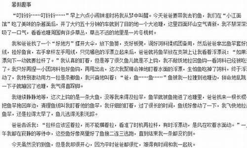 暑假趣事作文600字八年级_暑假趣事作文600字八年级上册